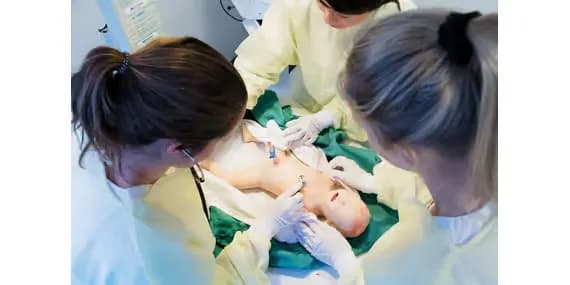 SimNewB