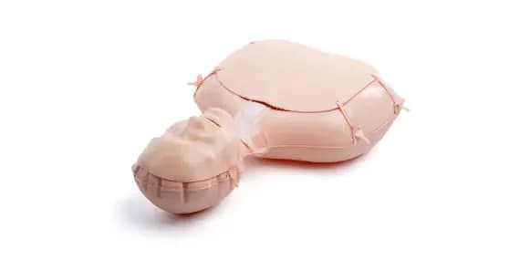 Mini Anne Plus